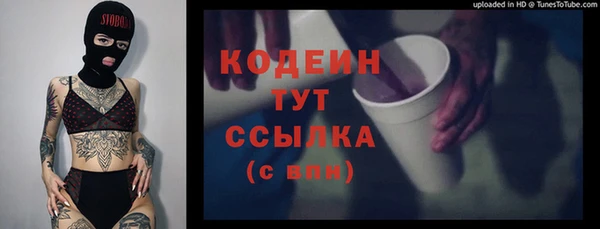 хмурый Нягань