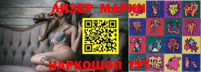 стафф Кингисепп