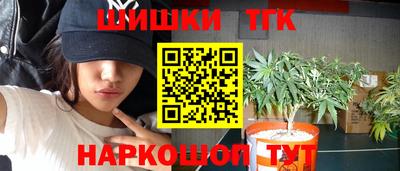 стафф Кингисепп
