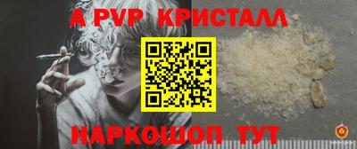 стафф Кингисепп